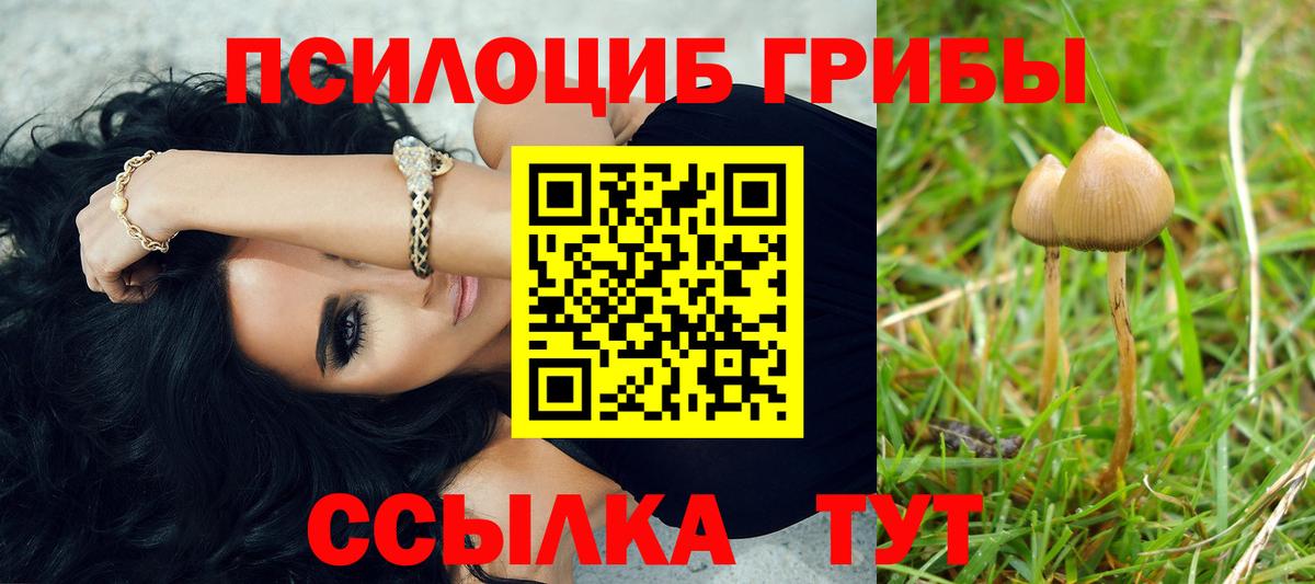 купить закладку  Псилоцибиновые грибы ЛСД  Вход с VPN  Псилоцибиновые грибы Psilocybe  Орехово-Зуево 