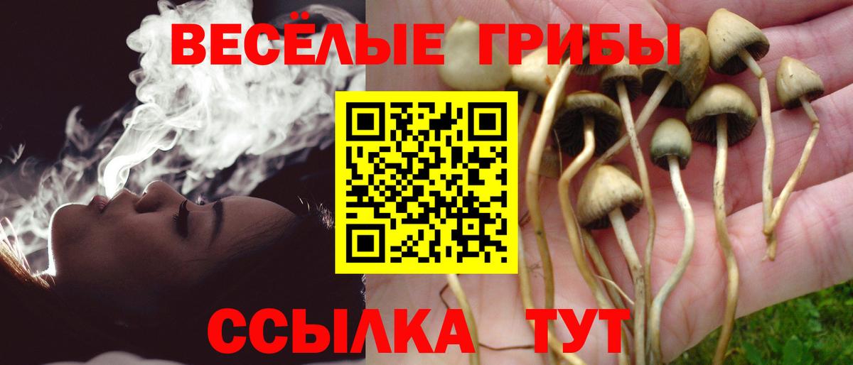 Псилоцибиновые грибы Psilocybine cubensis Орехово-Зуево